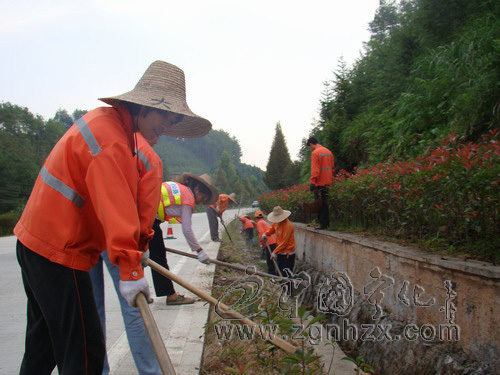 寧化89名養護工人國慶扮靚“綠色長廊”
