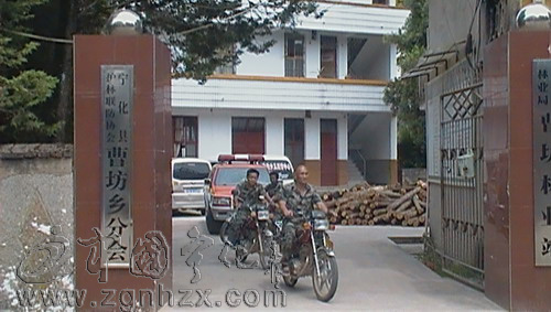 一片癡心護森林