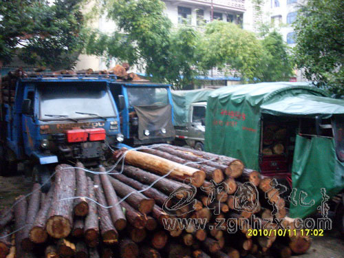 安遠鄉打好綠色生態保護戰役