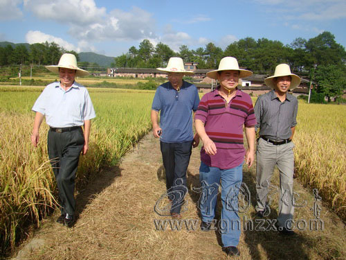 寧化三個土地整理項目通過省級驗收