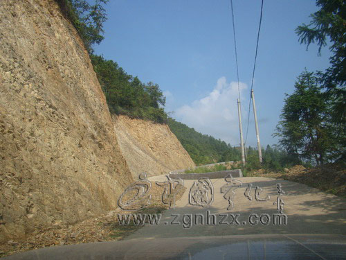 “畬鄉巨變”③：為有源頭活水來