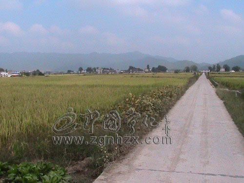 泉上鎮(zhèn)土地整理項目惠及1.8萬農(nóng)民