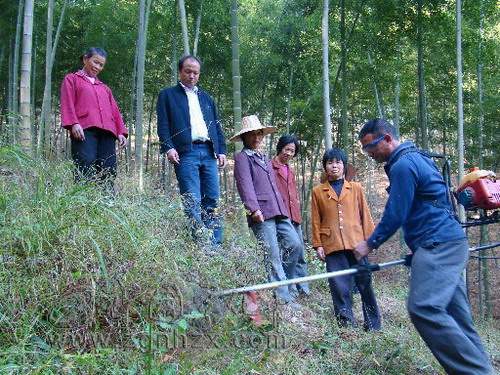 安樂鄉(xiāng)竹農(nóng)用上割灌機