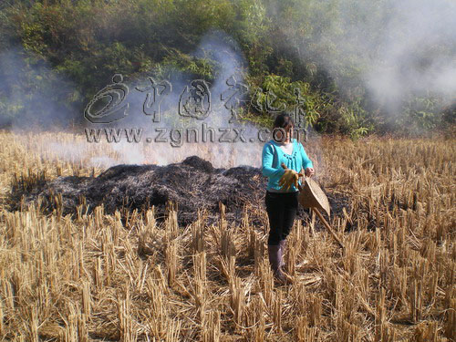 城郊鄉兩村民野外用火獲拘留