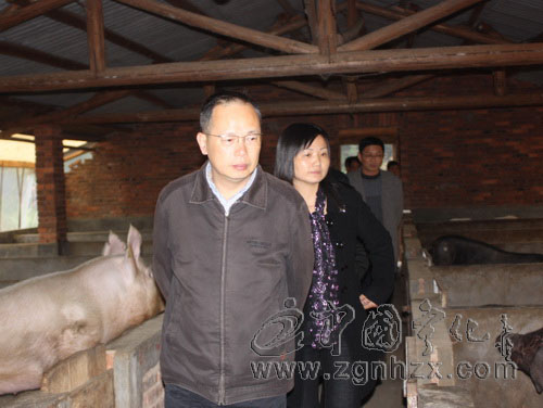 縣委書(shū)記陳忠杰調(diào)研“菜籃子”工程