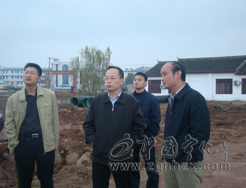 陳忠杰到石壁檢查指導祭祖準備工作