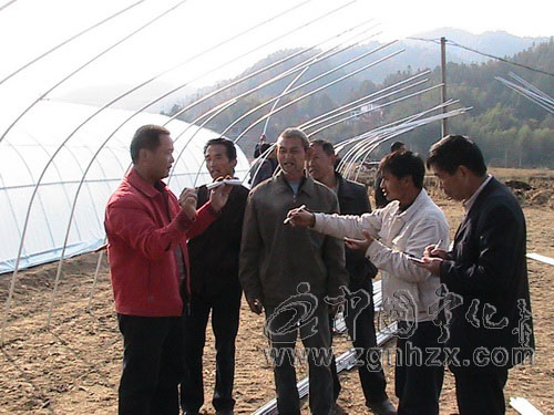 泉上鎮(zhèn)舉行烤煙育苗中棚搭建現(xiàn)場培訓(xùn)會