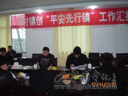 市綜治辦到湖村鎮調研“平安先行鎮”工作