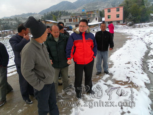 曹坊安樂等鄉鎮全力做好防寒抗凍工作