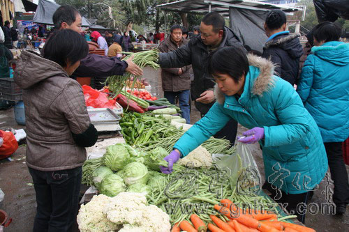 寧化：大雪飄然而至 菜價略有上漲