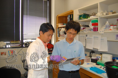 顯微鏡下為客家人尋根