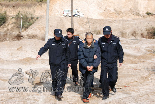 六旬老太命喪盜伐者