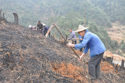 寧化：今冬造林綠化掀熱潮