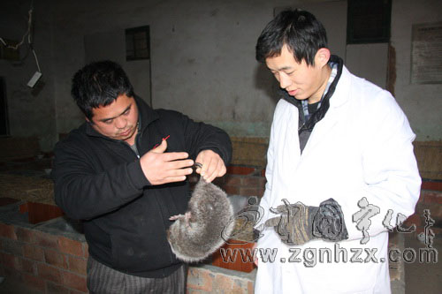 譽源竹鼠：校企合作達“雙贏”