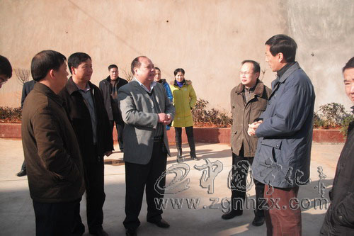 省殘聯理事長陳震蒞寧調研殘疾人工作