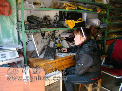 楊梅英：今年增收有“新招”