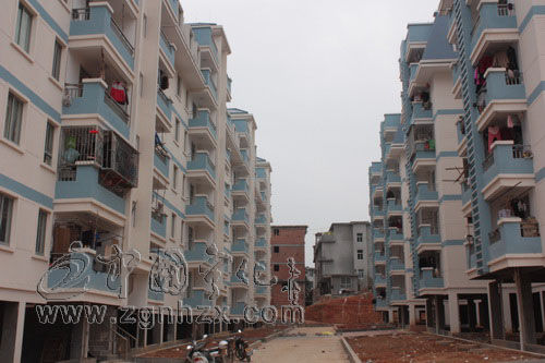 “新春走基層”之二：廉租房里喜過年