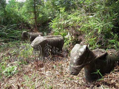 “千年古縣”之六：客家古墓葬