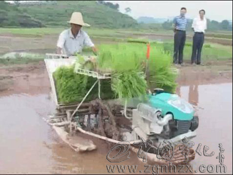 寧化水稻機(jī)械化育插秧技術(shù)推廣列入國(guó)家示范項(xiàng)目