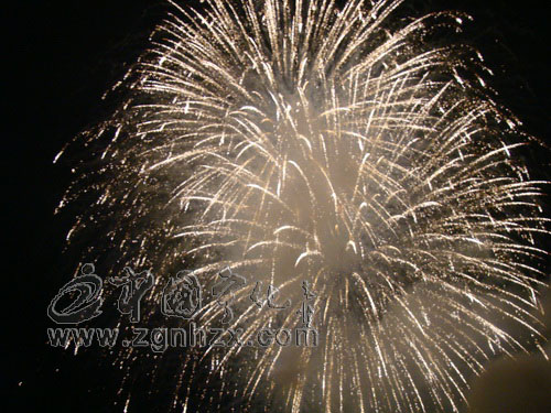 迎新春 “寧陽(yáng)御景”焰火晚會(huì)昨晚舉行