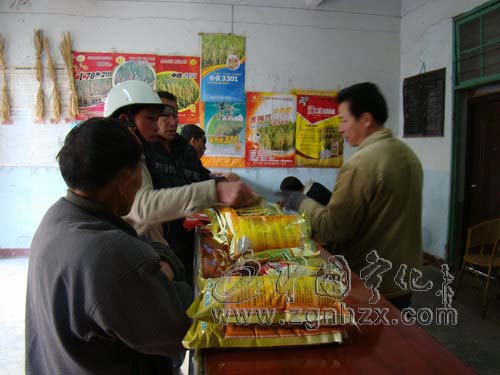 寧化20萬公斤稻種備戰春耕