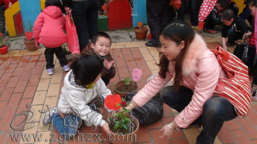 寧化實幼500多幼兒參加“快樂植樹”親子活動