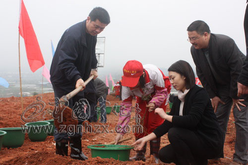 植樹節(jié)：大手牽小手 同栽致富花