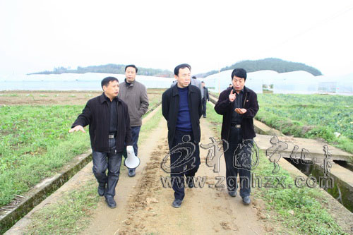 梁晉陽深入寧化檢查指導春耕備耕工作