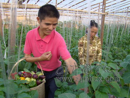 “幸福工程助我走上致富路”