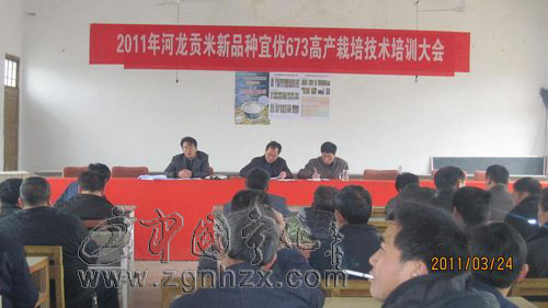 河龍鄉(xiāng)舉辦河龍貢米新品種高產(chǎn)栽培技術(shù)講座