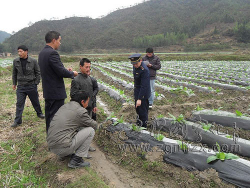 41筒地膜開裂　石壁工商所幫助挽回損失