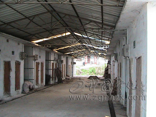 泉上鎮(zhèn)501座密集式烤房改造完成