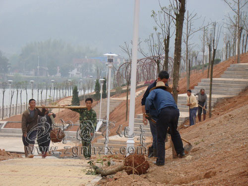 寧化華僑經(jīng)濟(jì)開發(fā)區(qū)今年“添綠”5.5萬(wàn)平方米