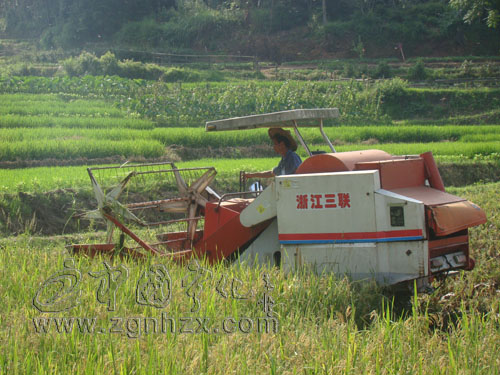 寧化6萬農戶喜領“種糧紅包”