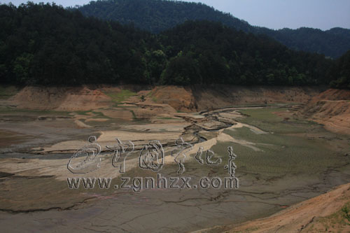 寧化城區昨起實行單雙日分區供水