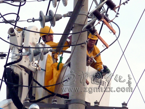 寧化供電公司成功實施帶電T接搭伙操作