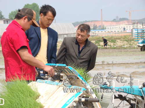 寧化：插秧不彎腰 “鐵牛”顯身手