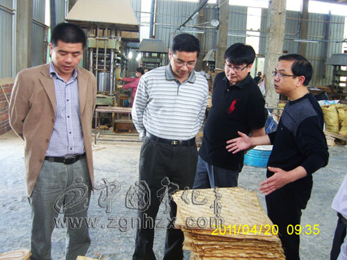 林星入到湖村鎮調研項目建設情況