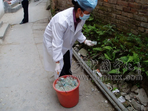 寧化開展大面積滅鼠　1.2噸鼠藥撒往城區