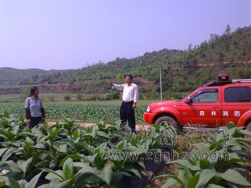 寧化森林防火宣傳到田頭