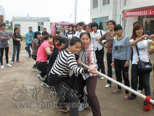 “菲達斯公司是我們的家”