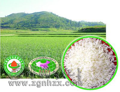 謝華安院士項目—千年貢米變身名牌大米