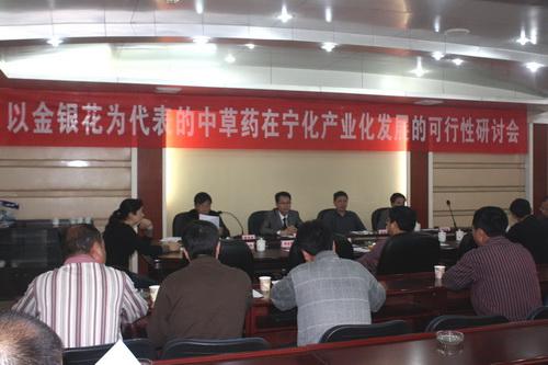 省市專家寧化研討金銀花