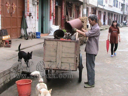 寧化：干群合力扮靚家園