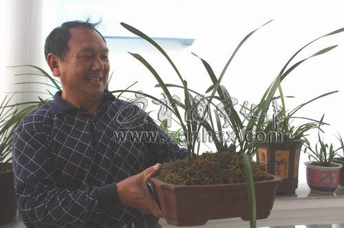 傾聽蘭花的聲音