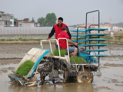 寧化首批150萬元購(gòu)機(jī)補(bǔ)貼惠農(nóng)家