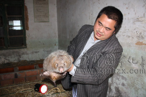 品種改良嘗甜頭　飼料研發再“牽手”