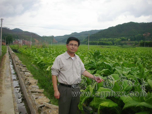 一位煙草站長的十年“父女”情緣