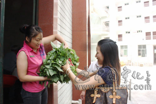 光榮院老人吃上了“棣王菜”