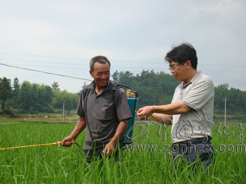 黨代表風(fēng)采①：曾仁杰：“為了河龍貢米，我再苦再累都值”